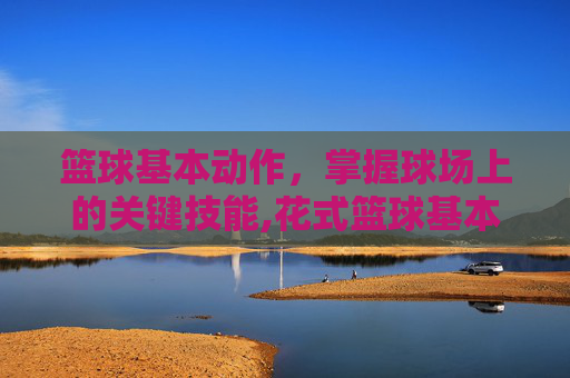 篮球基本动作，掌握球场上的关键技能,花式篮球基本动作