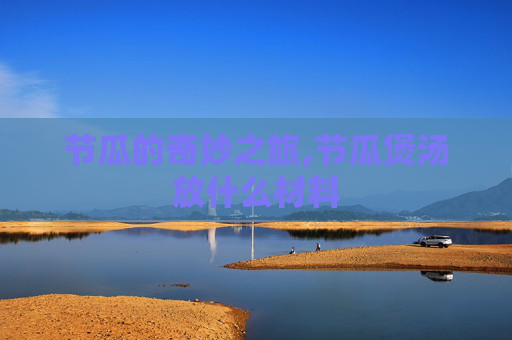 节瓜的奇妙之旅,节瓜煲汤放什么材料