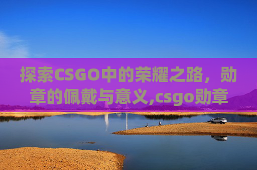 探索CSGO中的荣耀之路，勋章的佩戴与意义,csgo勋章在哪里佩戴的