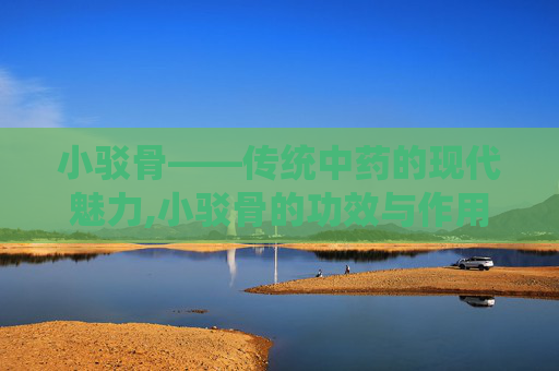 小驳骨——传统中药的现代魅力,小驳骨的功效与作用