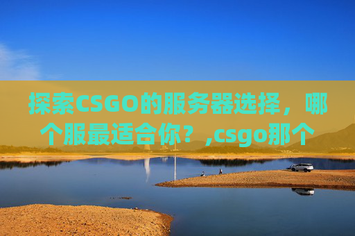 探索CSGO的服务器选择，哪个服最适合你？,csgo那个服好