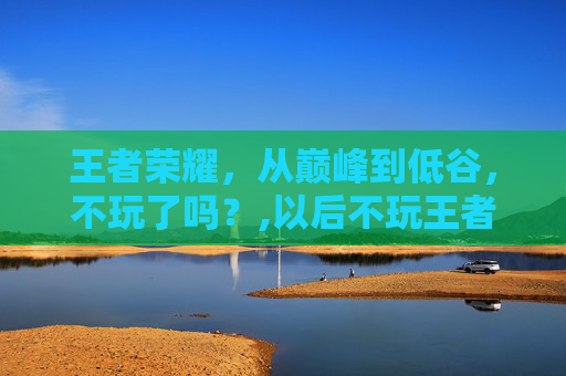 王者荣耀，从巅峰到低谷，不玩了吗？,以后不玩王者荣耀了
