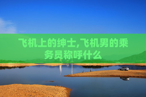 飞机上的绅士,飞机男的乘务员称呼什么