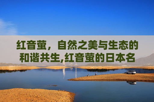 红音萤，自然之美与生态的和谐共生,红音萤的日本名