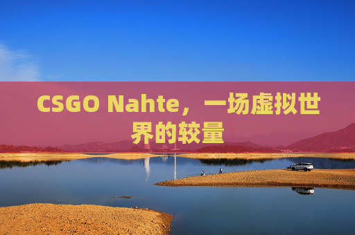 CSGO Nahte，一场虚拟世界的较量