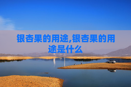 银杏果的用途,银杏果的用途是什么