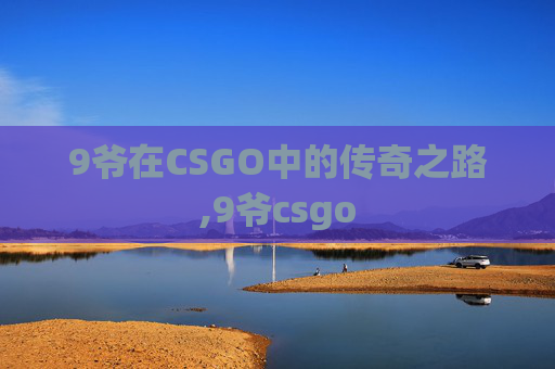 9爷在CSGO中的传奇之路,9爷csgo