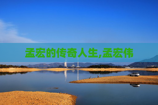 孟宏的传奇人生,孟宏伟