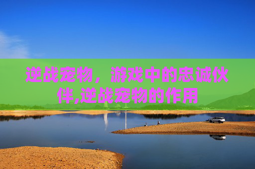 逆战宠物，游戏中的忠诚伙伴,逆战宠物的作用