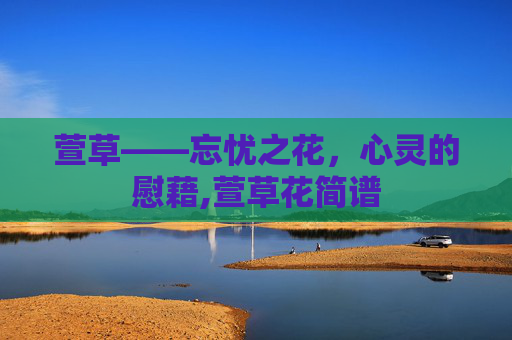 萱草——忘忧之花，心灵的慰藉,萱草花简谱