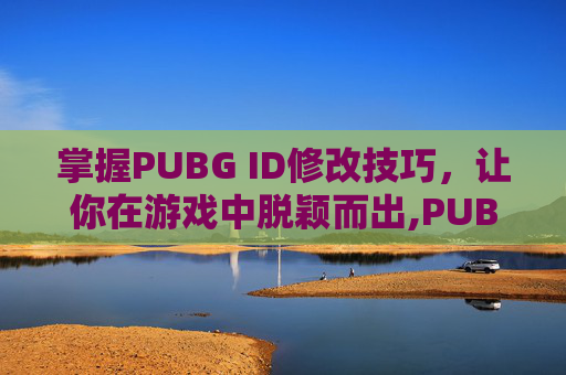 掌握PUBG ID修改技巧，让你在游戏中脱颖而出,PUBG怎么改名