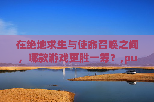 在绝地求生与使命召唤之间，哪款游戏更胜一筹？,pubg是不是fps