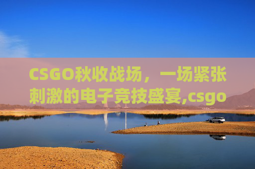 CSGO秋收战场，一场紧张刺激的电子竞技盛宴,csgo秋收农场怎么开困难模式