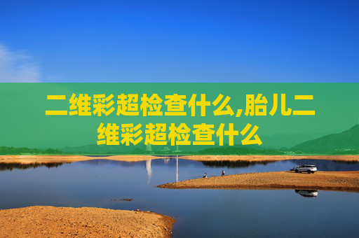 二维彩超检查什么,胎儿二维彩超检查什么