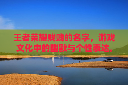 王者荣耀贱贱的名字，游戏文化中的幽默与个性表达,起一个王者名字贱贱的