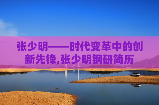 张少明——时代变革中的创新先锋,张少明钢研简历