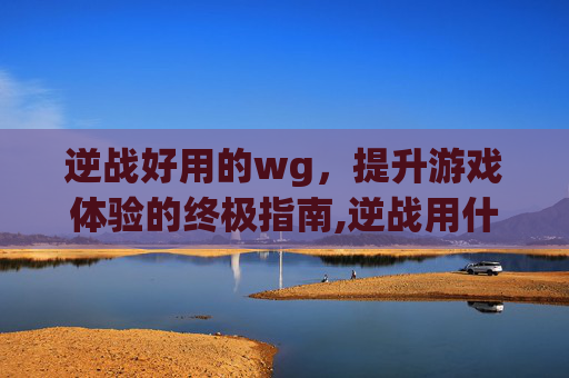 逆战好用的wg，提升游戏体验的终极指南,逆战用什么