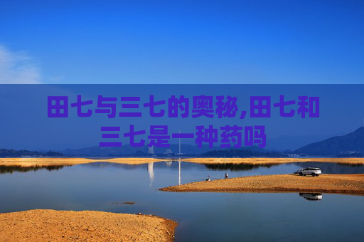 田七与三七的奥秘,田七和三七是一种药吗