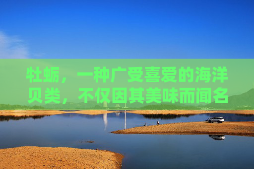 牡蛎，一种广受喜爱的海洋贝类，不仅因其美味而闻名，还因其丰富的营养价值和多样的健康功效而备受推崇。本文将深入探讨牡蛎的作用与功效，帮助您更好地了解这一海洋珍宝的益处。,牡蛎的作用与功效是什么