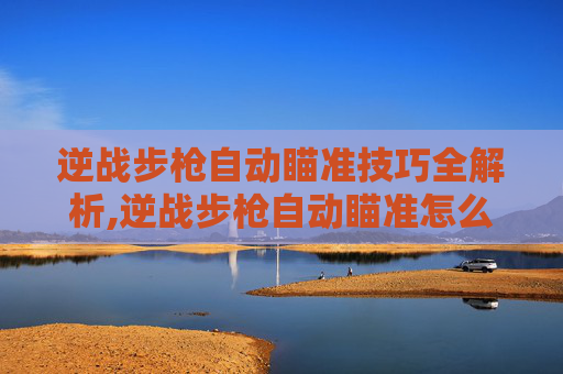 逆战步枪自动瞄准技巧全解析,逆战步枪自动瞄准怎么设置