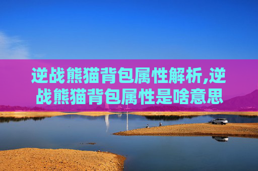 逆战熊猫背包属性解析,逆战熊猫背包属性是啥意思