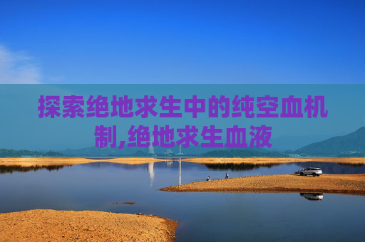 探索绝地求生中的纯空血机制,绝地求生血液