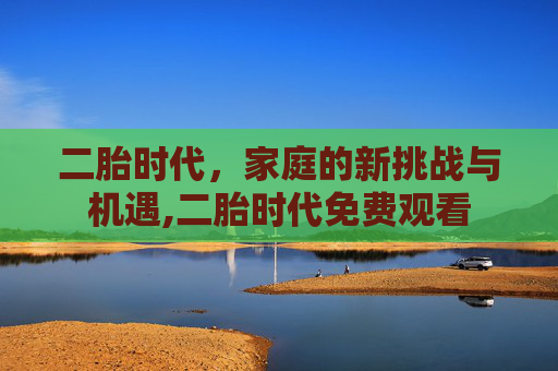二胎时代，家庭的新挑战与机遇,二胎时代免费观看