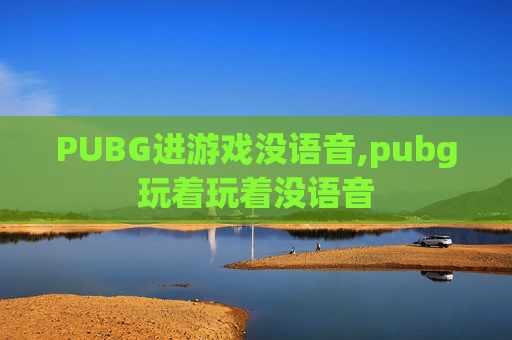 PUBG进游戏没语音,pubg玩着玩着没语音