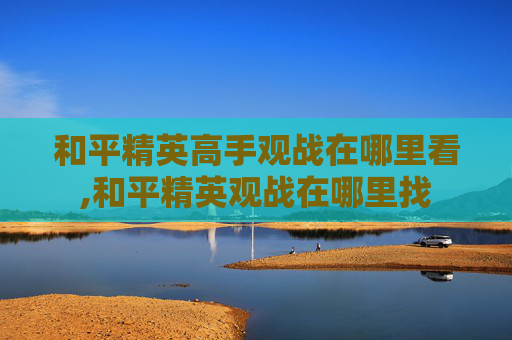 和平精英高手观战在哪里看,和平精英观战在哪里找