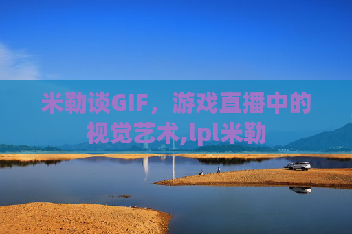 米勒谈GIF，游戏直播中的视觉艺术,lpl米勒