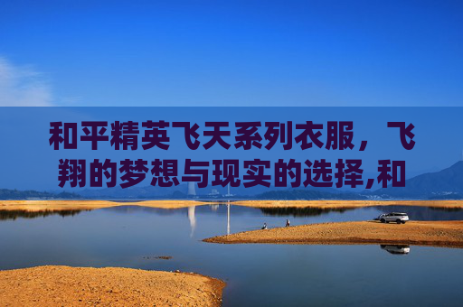 和平精英飞天系列衣服，飞翔的梦想与现实的选择,和平精英飞天系列衣服图片