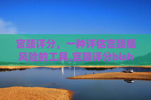 宫颈评分，一种评估宫颈癌风险的工具,宫颈评分bishop标准表