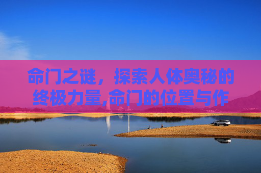 命门之谜，探索人体奥秘的终极力量,命门的位置与作用和功效