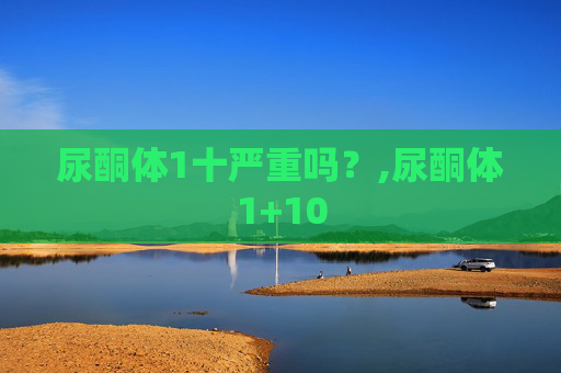 尿酮体1十严重吗？,尿酮体1+10