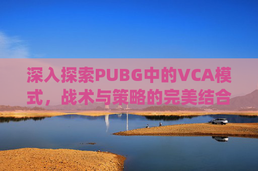 深入探索PUBG中的VCA模式，战术与策略的完美结合,pubg什么是机器码