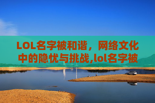 LOL名字被和谐，网络文化中的隐忧与挑战,lol名字被和谐了怎么办