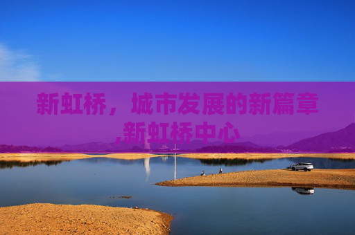 新虹桥，城市发展的新篇章,新虹桥中心
