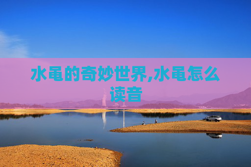 水黾的奇妙世界,水黾怎么读音