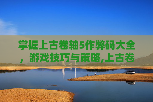 掌握上古卷轴5作弊码大全，游戏技巧与策略,上古卷轴5做弊码