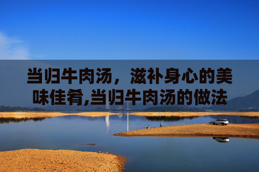 当归牛肉汤，滋补身心的美味佳肴,当归牛肉汤的做法及配料