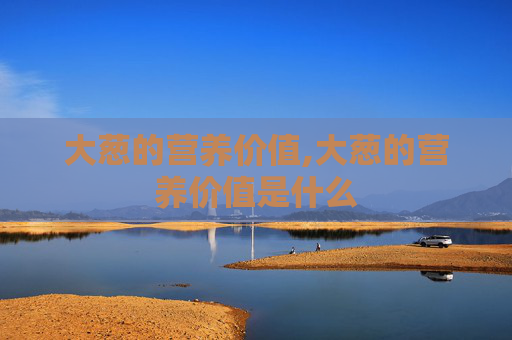 大葱的营养价值,大葱的营养价值是什么