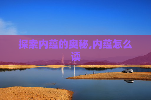 探索内蕴的奥秘,内蕴怎么读