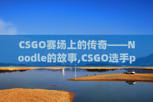 CSGO赛场上的传奇——Noodle的故事,CSGO选手perfecto