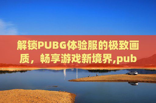 解锁PUBG体验服的极致画质，畅享游戏新境界,pubg国际体验服画质助手