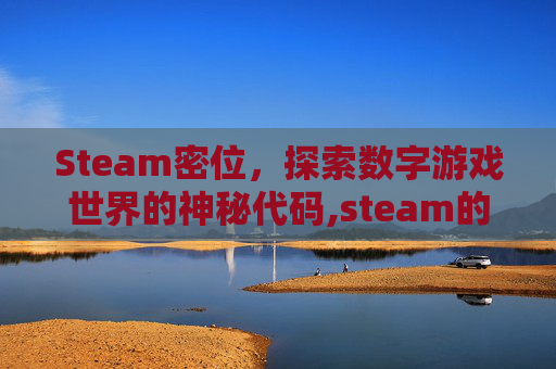 Steam密位，探索数字游戏世界的神秘代码,steam的密码要求怎么写