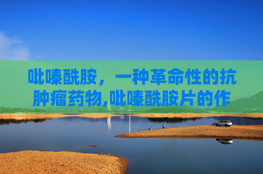 吡嗪酰胺，一种革命性的抗肿瘤药物,吡嗪酰胺片的作用与功效