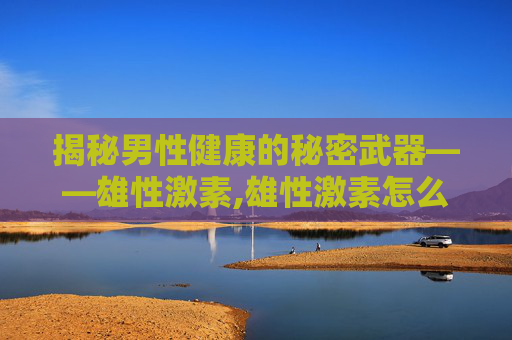 揭秘男性健康的秘密武器——雄性激素,雄性激素怎么补充