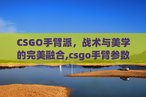 CSGO手臂派，战术与美学的完美融合,csgo手臂参数大全