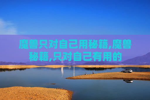 魔兽只对自己用秘籍,魔兽秘籍,只对自己有用的