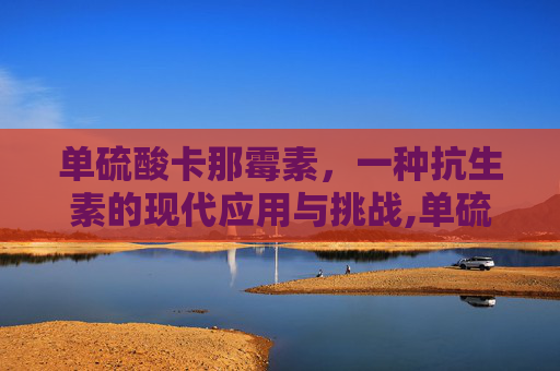 单硫酸卡那霉素，一种抗生素的现代应用与挑战,单硫酸卡那霉素的作用与功效